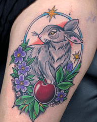 Rabbit and Apple