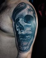 🍀Wir haben noch Termine Frei 🍀 💉💉Von Ruma gestochen💉💉 Unsere Tattoo Studio befindet sich In die Bahnhofstr 28 in Lorsch ______________________________________ #cheyennetattooequipment #killerinktattoo #worldfamous #fkirons #germany #naxosinktattoo #tattooartist #inkmag #inkmagazine #lorsch #germany🇩🇪#skulltattoo