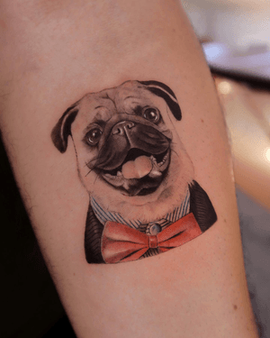 Detailed micro-realism tattoo of a pug wearing a fancy suit and bowtie, by artist Constanza.