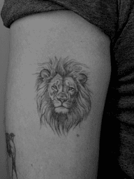 Lion Head
