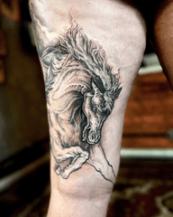 Horse Tattoo
