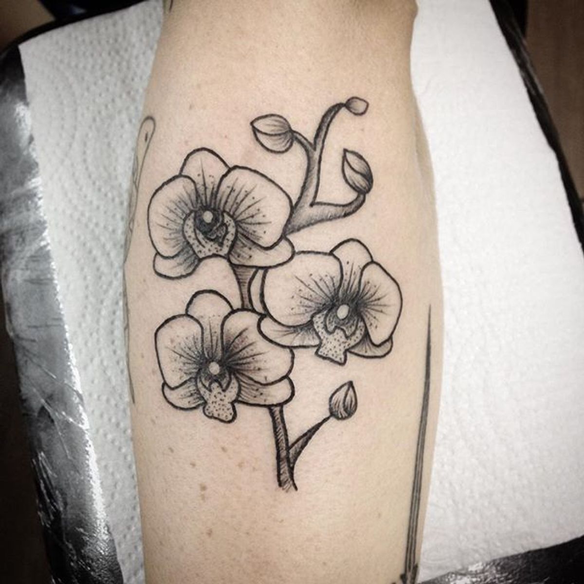 Tattoo uploaded by Pin Up Tattoo • Orquídeas da Vivis. Curti demais fazer  essa tattoo, obrigada pela oportunidade. #botanicaltattoo #tatuagemfeminina  #botanica #orquidea #orchid #niteroitattoo #niteroi • Tattoodo