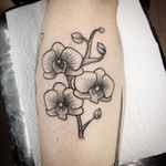 Orquídeas da Vivis. Curti demais fazer essa tattoo, obrigada pela oportunidade. #botanicaltattoo #tatuagemfeminina #botanica #orquidea #orchid #niteroitattoo #niteroi