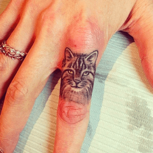 #cat #blackandgrey #micro #finger #Markov