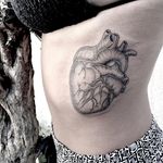 Para uma futura cardiologista que estuda medicina só para ajudar sua mãe que tem problemas no coração #heart #hearttattoo #heartofgold #fineline #finelinetattoo #dotwork #dotworktattoo #dotworker #dotworkart #tattoodoBR #estudiometamorphosis