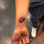 Wee little ladybug Done by Inkstained tattoo artist Flaco Garcia (tat2flaco) #ladybug #bug #insect ##statenislandink #statenislandtattoo #newyork