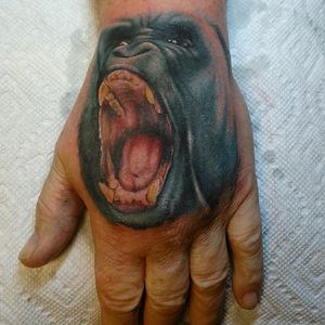 Tattoo by Chris /  The Legacy Tattoo CO #monkey #gorilla #portrait #hand #chris #legacytattoo 