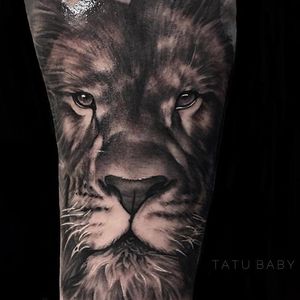 Done by None other than Tatu Baby 
#TillTheEndTattooGallery #TillTheEnd #Miami #lion #realism #realistic
