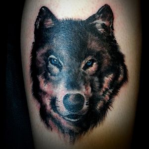 Tattoo by Lucky #wolf #realism #luckystattoocompany