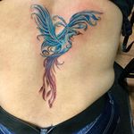 Phoenix tattoo #phoenix #bird #colortattoo #lupita #lupitastattoos 
