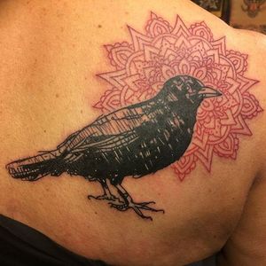 #hankypanky #amsterdam #birdtattoo #dottattoo #dottattoowork #mandalatattoo #dotwork #mandala #bird