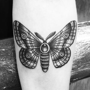 Moth by Vince Leblanc, thanks for looking #moth