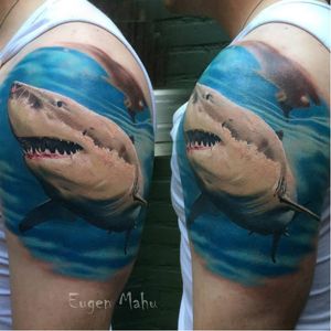 #tubarão #shark #EugenMahu #realismo #realismocolorido #gringo #tatuadorgringo #brasil #brazil #portugues #portuguese