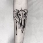 Elefante por Alexandre Aske! #AlexandreAske #Ttatuadoresbrasileiros #tatuadoresdobrasil #tattoobr #tattoodobr #sketchtattoos #sketch #elephant #elefante