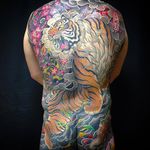 Intense tiger back tattoo by Horimatsu. #Horimatsu #JapaneseStyle #JapaneseTattoo #horimono #tiger #tora