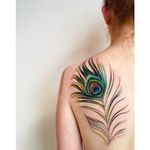 Peacock Plume by Amanda Wachob (via IG-amandawachob) #feather #peacock #watercolor #color #illustrative #AmandaWachob