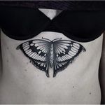 Butterfly by Taras Shtanko (via IG-taras_shtanko) #fineline #blackandgrey #sternum #underboob #TarasShtanko