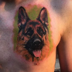 Painterly color realism German Shepherd tattoo by Antonio Venturetti. #painterly #realism #colorrealism #dog #germanshepherd #AntonioVenturetti