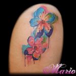Flores! #InkedByMario #MarioGregor #aquarela #watercolor #TatuadorGringo #colorida #colorful #flores #flowers