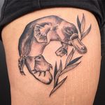 Black and grey linework platypus tattoo by Amy Shapiro. #platypus #monotreme #australiananimal #blackandgrey #linework #AmyShapiro
