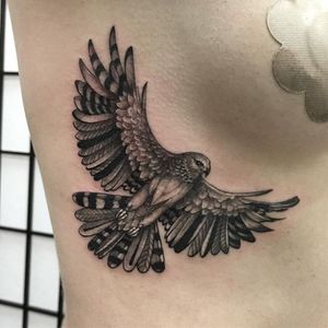 Decorative hawk tattoo by Beau Parkman. #blackandgrey #realism #BeauParkman #bird #decorative #hawk
