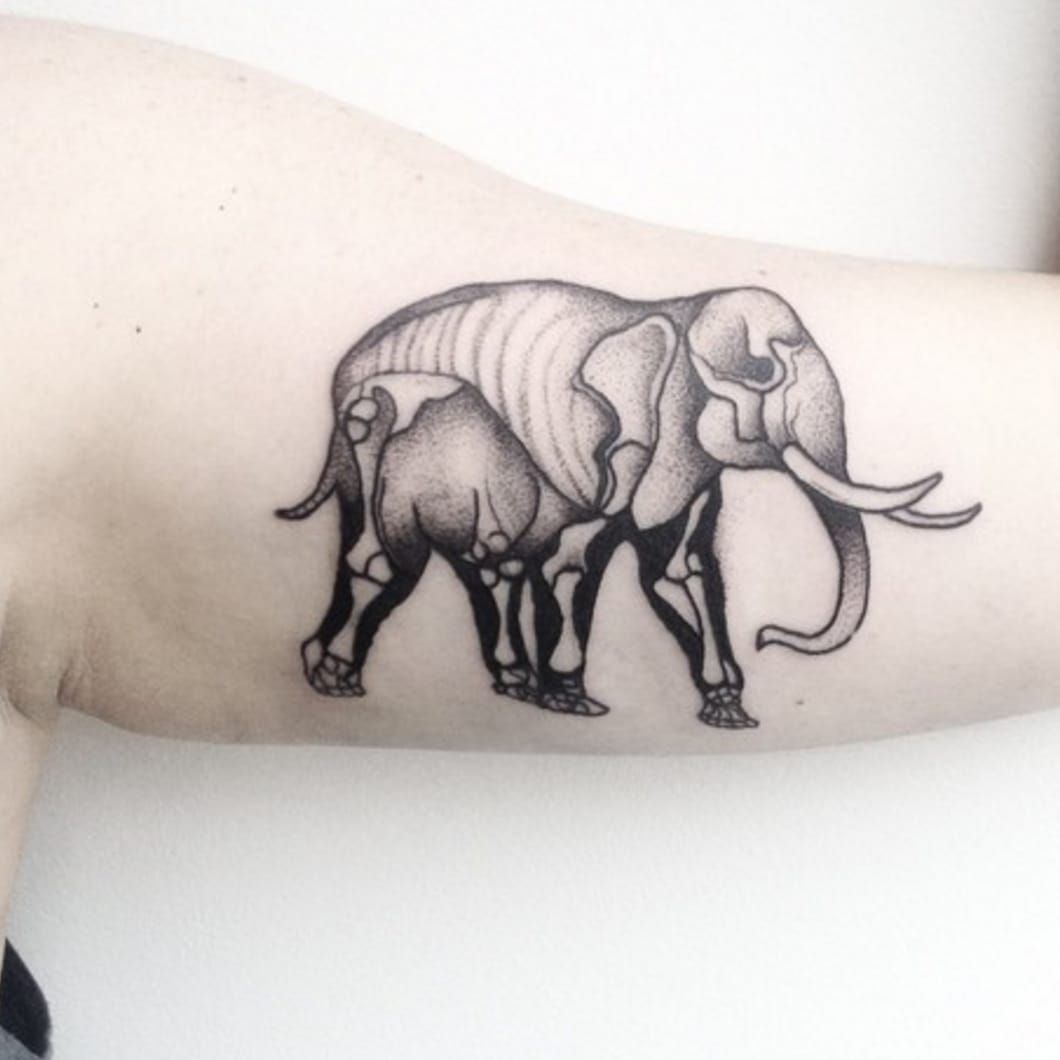 Woolly Mammoth Tattoo Details Of The 7 Videos & 70+ Images