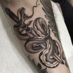 Dagger Snake Tattoo by Gianluca Fusco #snake #dagger #blackandgrey #blackandgreyart #fineline #blackandgreyartist #GianlucaFusco