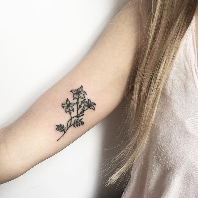 Tattoo Uploaded By Robert Davies Jasmine Tattoo By Kate Holley Jasmine Jasminetattoo Handpoked Handpokedtattoo Handpoke Handpoketattoo Handpoketattoos Handpokeartist Kateholley Tattoodo Tattoo Uploaded By Robert Davies Jasmine Tattoo By Kate Holley Jasmine Jasminetattoo Handpoked Handpokedtattoo Handpoke Handpoketattoo Handpoketattoos Handpokeartist Kateholley Tattoodo