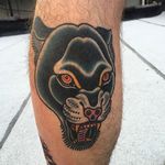 Panther by Phil DeAngulo (via IG-midwestphil) #panther #fangs #animal #color #traditional #bold #PhilDeAngulo
