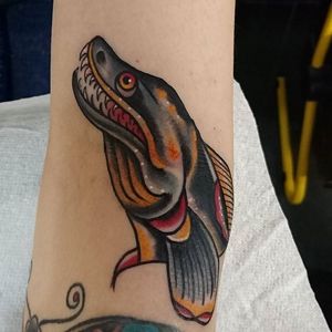 Eel Tattoo by Jaysin Burgess #eel #traditionaleel #traditional #JaysinBurgess