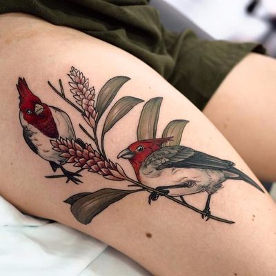 Red-crested Cardinals by Sophia Baughan #SophiaBaughan #illustrative #realism #realistic #watercolor #birds #feathers #wings #flowers #leaves #Cardinal #color #tattoooftheday
