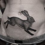 Rabbit Tattoo by Luca Cospito #rabbit #blackwork #blackworkartist #blackink #darkart #darkartist #spanishartist #LucaCospito #animal #blackworkrabbit