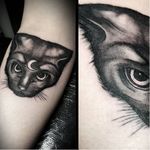 Black and grey cat tattoo by Zoe Fraser #ZoeFraser #TheTattooedArms #cat #blackandgrey