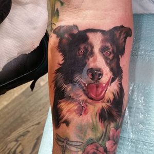 Color realism collie portrait tattoo by Trevor Jameus. #realism #colorrealism #collie #dog #bordercollie #TrevorJameus