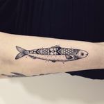 Peixe por Marta Carvalho! #MartaCarvalho #TokaStudio #tattoobr #tattoodobr #peixe #animal #nature #natureza #fish #mar #sea