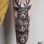 Totem tattoo by Ms Kudu #MsKudu #sketchstyle #sketch #graphic #animals #totem #stag #wolf #bear #blackwork