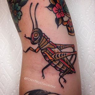 Grasshopper Tattoo por Tony Talbert #TraditionalTattoos #OldSchoolTattoos #ClassicTattoos #TraditionalTattoo #TraditionalArtists #TonyTalbert #grasshopper