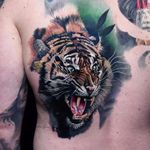 On the attack by Phil Garcia #PhilGarcia #color #realism #realistic #hyperrealism #tiger #junglecat #cat #fangs #animal #nature #jungle #tattoooftheday