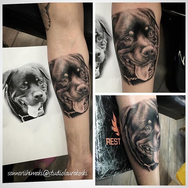 Tattoo uploaded by Stacie Mayer • Black and grey realistic rottweiler  portrait by Sanna Riihimäki. #realism #dog #rottweiler #petportrait  #blackandgrey #SannaRiihimäki • Tattoodo