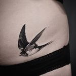 This swallow in flight by Jeong Hwi Jeon is picture perfect. #blackandgrey #JeongHwiJeon #realism #swallow #bird #nature
