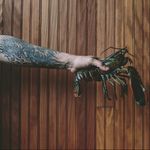 YUM, lobster! #lobster #tattoo #tattooedlobster #halfsleeve