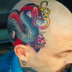 Awesome scalp banger tattoo. Snake tattoo by Aaron Riddle. #AaronRiddle #snake #tattoo #neotraditional