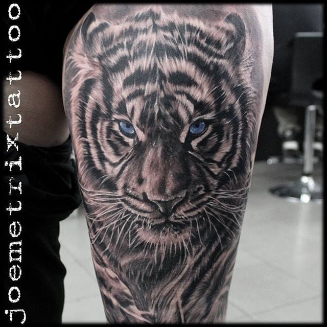 Black and grey style tiger tattoo on the right forearm