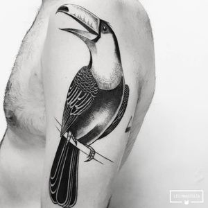 #LeoMarsiglia #brasil #brazil #brazilianartist #tatuadoresdobrasil #blackwork #fineline #pontilhismo #dotwork #ave #passaro #bird #tucano
