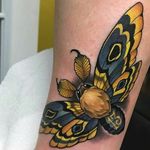 Mariposa dourada e hipnotizante #AaronSprings #neotrad #neotraditional #moth #mariposa #butterfly #borboleta