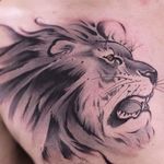 Awesome black and grey lion tattoo done by Chenpo. #chenpo #newtattoo #asianstyle #brushstyle #lion #blackandgrey #lionhead #lionportrait #animal #animalportrait