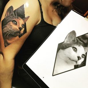 Sweet kitty tattoo by Nikki Hurtado #NikkiHurtado #petportraittattoo #blackandgrey #realism #realistic #hyperrealism #pet #cat #kitty #love #animal #nature #diamond #tattoooftheday