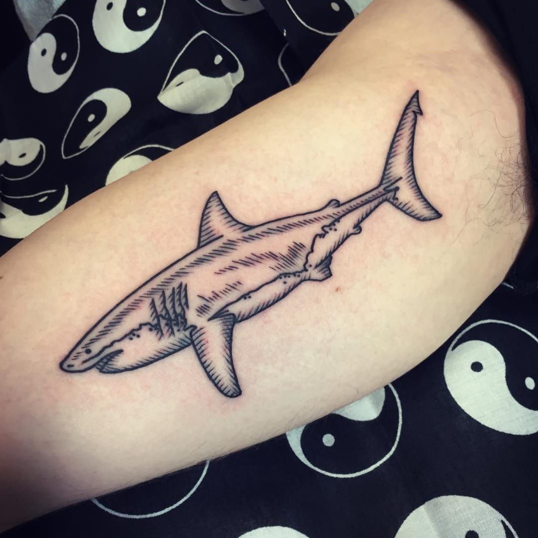 A Great White shark on a great client  Tatuagem leão de juda Tatuagem  Tatoo tubarao