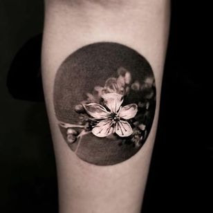 Una imagen circular de la naturaleza por Jeong Hwi Jeon.  # flor de cerezo # gris negro #JeongHwiJeon #realismo #flor