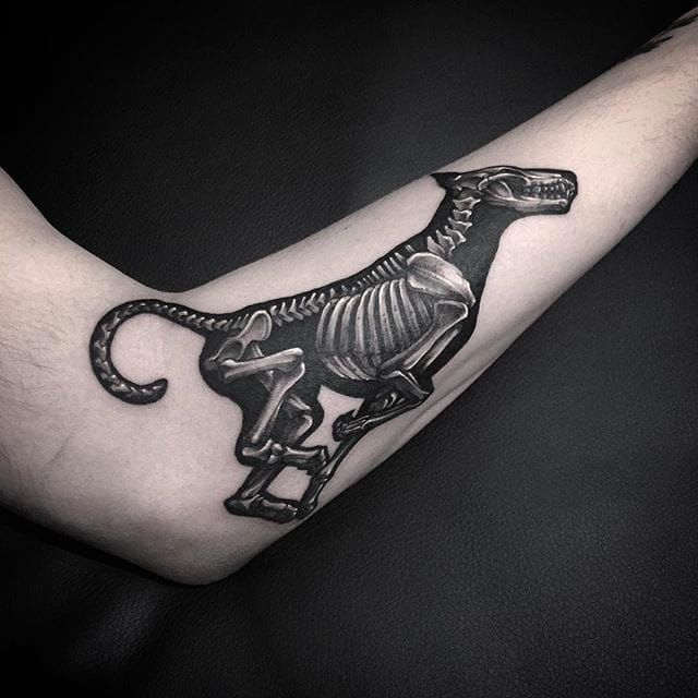 Solus Ictus  Tattoo Manufacture  Dog of the dead   solusictustattoo solusictustattoo robertkrawiec robertkrawiec tattoo  tattoohamburg hamburgtattoo hamburg dog dogtattoo skeletondog  skeleton skeletontattoo wannado 